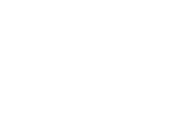 www.faber-fires.eu